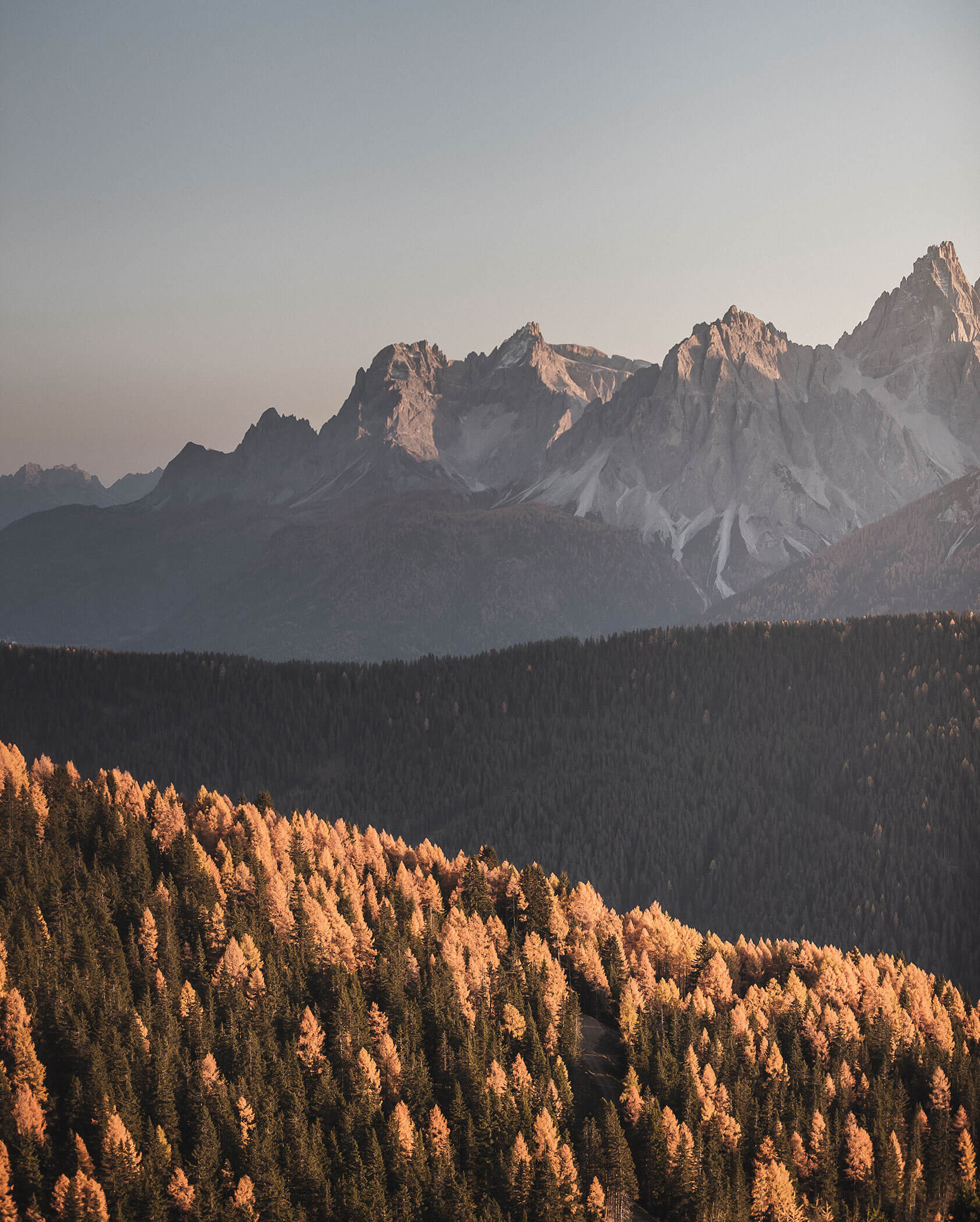 Mountain range with sunlit trees in the foreground and forested hills under a clear sky.