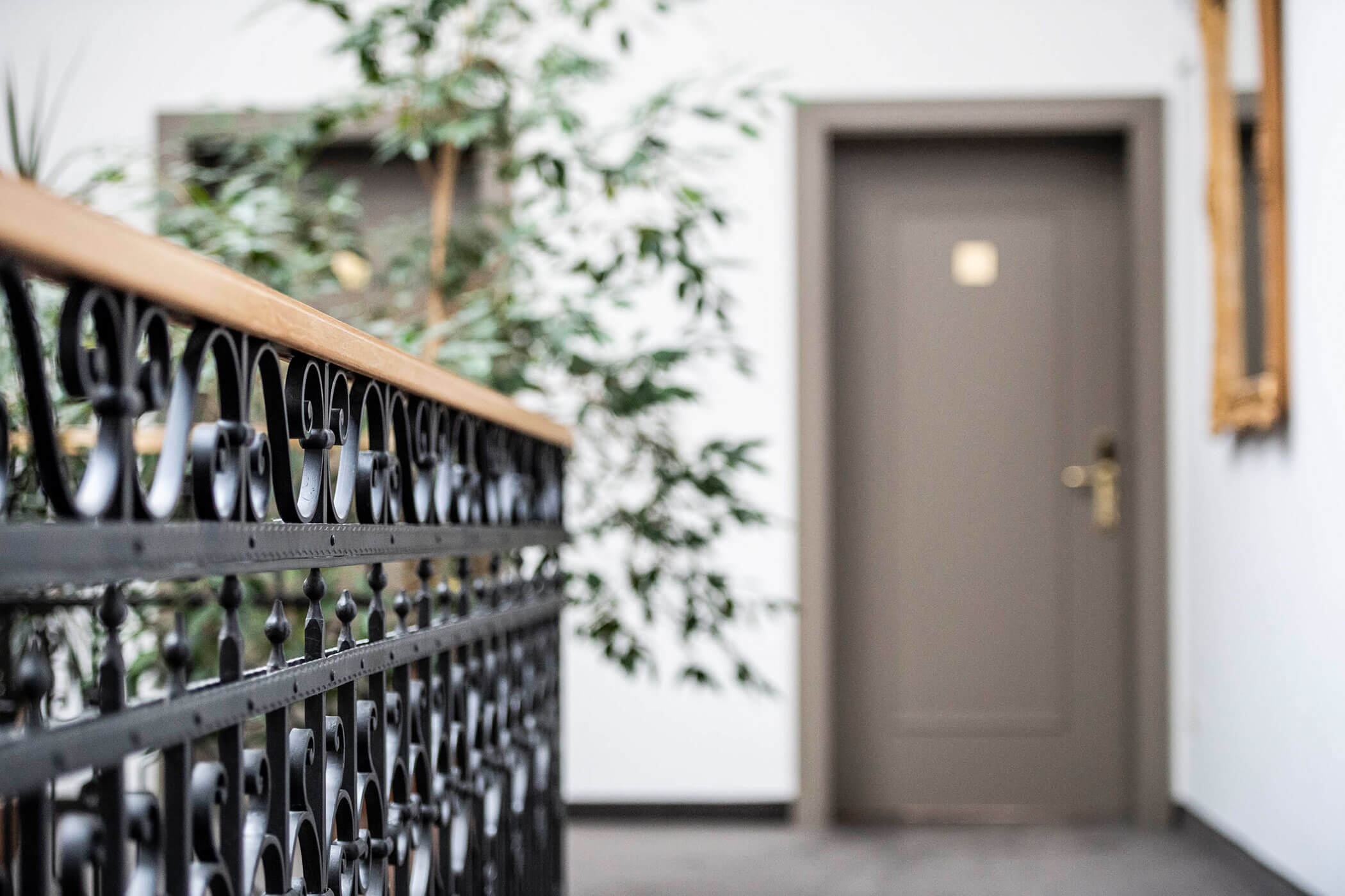 A hallway with a black ornate railing, potted plant, and a closed brown door in the background.